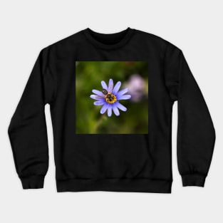 Aster & Hoverfly Crewneck Sweatshirt